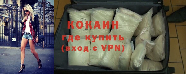 прущие грибы Беломорск