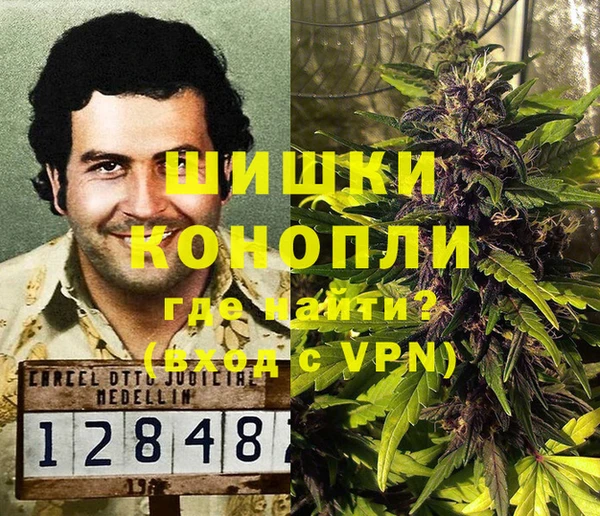 прущие грибы Беломорск
