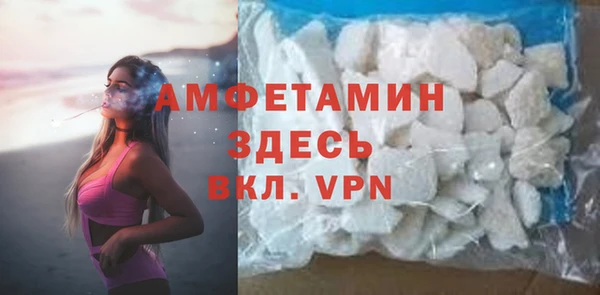 прущие грибы Беломорск