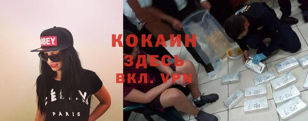 прущие грибы Беломорск