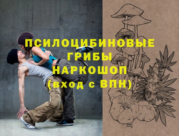прущие грибы Беломорск