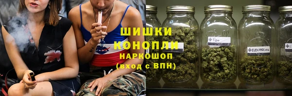 прущие грибы Беломорск