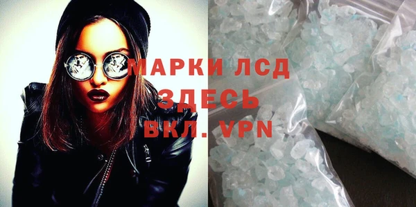 прущие грибы Беломорск