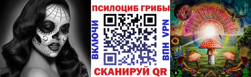 hydra зеркало  Цивильск  Галлюциногенные грибы Psilocybine cubensis 
