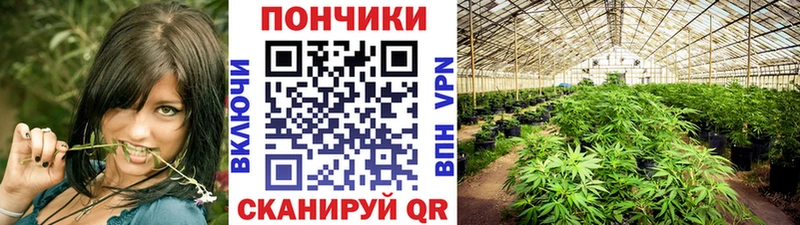 ссылка на мегу маркетплейс  цены   Цивильск  МАРИХУАНА планчик 